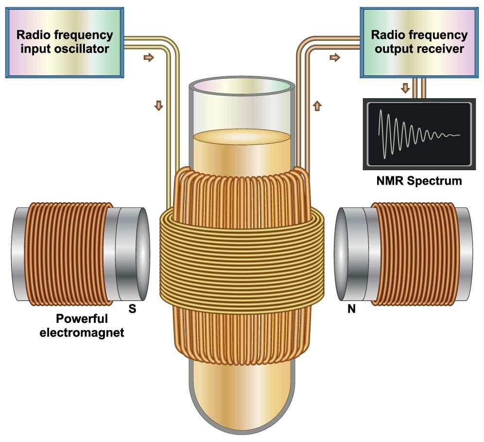Nuclear magnetic resonance diagram 강력한 자기장과 핵스핀 상태의 상호작용을 기반으로 한 NMR 스펙트럼을 보여주는 핵자기공명 도표