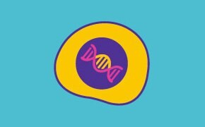 Illustration featuring a stylized cell with a DNA helix in the center, surrounded by a purple circle and yellow ring, against a teal background. Below is the text ‘Cell Lines & Expression Technologies.