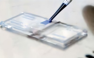 Cell counting using Trypan Blue dye and a hemocytometer Trypan Blue 및 혈구계를 사용한 세포 계수