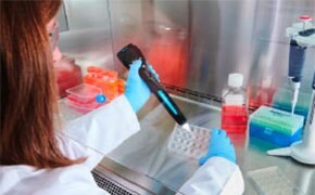 Scientist counting cells using an automated handheld Coulter counter 자동화된 휴대용 Coulter 계수기를 사용하여 세포를 계수하는 과학자