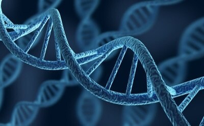 Structure of DNA – various methods are used for DNA purification