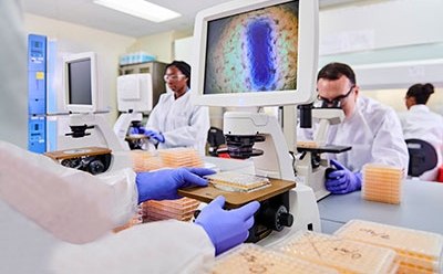 Scientists in a laboratory using microscopes to detect viral contamination.