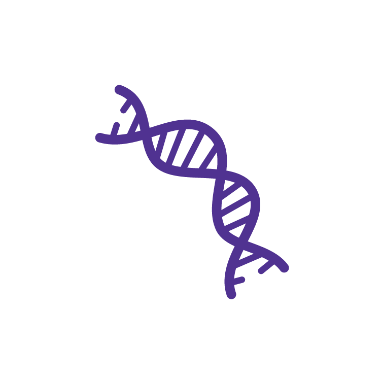 Plasmid DNA Vaccines Plasmid DNA Vaccines