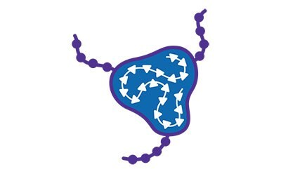 Conjugated polysaccharide and bacterial vaccines Conjugated polysaccharide and bacterial vaccines