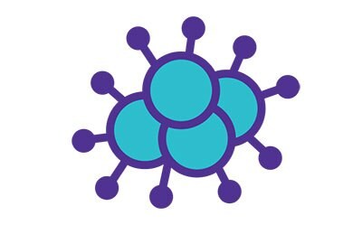 Toxoid and whole bacteria vaccines Toxoid and whole bacteria vaccines