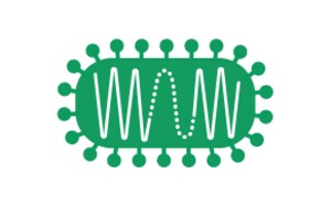 Illustration d&apos;une pseudoparticule virale (PPV).