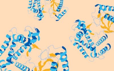 Cell lysis and extraction for preparation of proteins from cultured mammalian cells, insect cells, Gram positive and Gram negative bacteria, yeast, plant, and other samples.