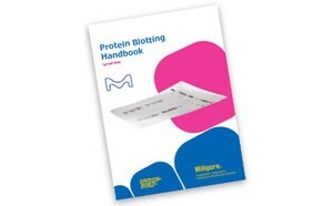 단백질 블로팅 핸드북