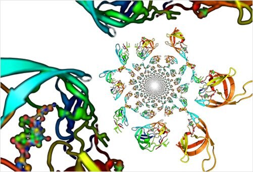 Protein mass spectrometry for protein identification, characterization, and quantitation