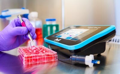 Scientist’s hand holding tweezers picking up a clear insert for a cell culture plate filled with culture media in the tissue culture hood. ERS 3.0 instrument is directly to the right and displays the culture plate map. ERS 3.0 probe is laying directly in front of the instrument. Scientist’s hand holding tweezers picking up a clear insert for a cell culture plate filled with culture media in the tissue culture hood. ERS 3.0 instrument is directly to the right and displays the culture plate map. ERS 3.0 probe is laying directly in front of the instrument.