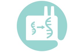 Iconography showing an effective downstream purification process for mAbs manufacturing