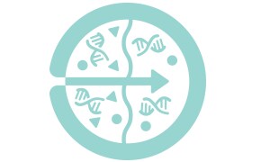 Iconography of purified plasmid DNA