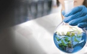 Biodegradable Greener 파란 액체와 초록색 물질이 들어있는 바닥이 둥근 플라스크를 잡고 있는 여성