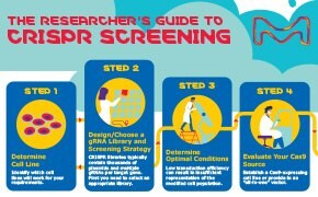 Download your CRISPR Screening infographic