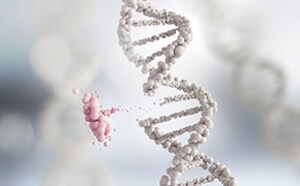 Gene Editing & Functional Genomics