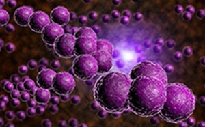 The image features a cluster of purple spherical structures against a dark backdrop, illuminated from the center, creating a three-dimensional effect.