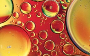 Close-up image of colorful circular shapes and bubbles with a vibrant combination of red, yellow, and green hues.