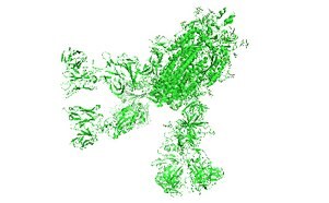 Illustration of the SARS-CoV-2 spike glycoprotein in green on a white background, depicting the structure of the protein responsible for virus attachment to human cells.