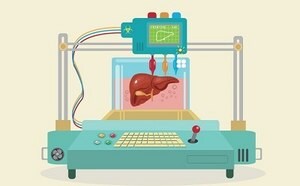 Illustration showing process of creating human heart layer for layer with bioink using 3D printer