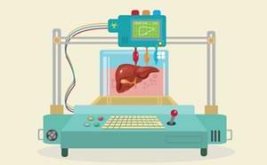 A stylized illustration of a 3D bioprinter, featuring a control panel with buttons and a screen displaying a graphic. The printer is shown creating a realistic model of a human organ, possibly a heart, suspended in a transparent chamber filled with liquid.