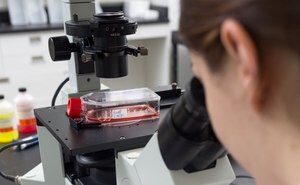Bioprocessing Cell Lines