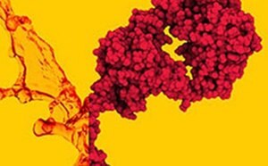 A vibrant image capturing a cluster of red grapes mid-splash against a striking yellow background, creating a lively and dynamic visual effect.