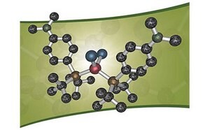 catalyst-suzuki-miyaura-cross-coupling-reactions.jpg