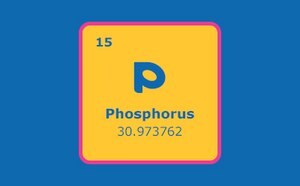 A graphic representation of the chemical element Phosphorus from the periodic table, showing its atomic number ‘15’, and its atomic weight ‘30.973762’. 