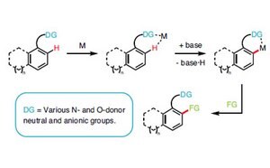 Catalysts schematic workflow