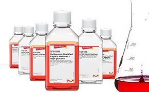 L&apos;image représente une série de six flacons de laboratoire contenant un liquide rouge disposés en ligne avec sur la droite une éprouvette graduée partiellement remplie du même liquide rouge, le tout sur un fond blanc.