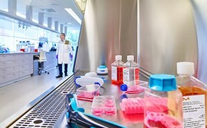 Scène de laboratoire avec un scientifique en blouse blanche en arrière-plan. Au premier plan, différents équipements de laboratoire et divers récipients remplis de liquide rose sont disposés sur une surface en acier inoxydable. Le laboratoire est bien éclairé et comprend en arrière-plan des meubles et des équipements modernes.