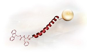 Structure d&apos;un peptide en 3D.