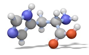 Custom Peptides