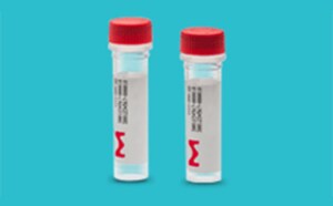 Custom & Predesigned RNA Oligos, siRNA Duplexes, & Controls