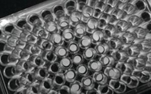 A detailed grayscale image of a cell culture plate with multiple wells, highlighting the precision and uniformity essential for cell culture experiments, part of a comprehensive collection of cell culture supplies.