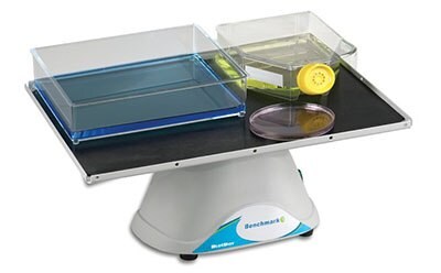 A Platform Rocker with a blue and clear container, a yellow cap bottle, and a petri dish on its surface, all placed on a white table with a blue label reading ‘Benchmark’.