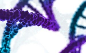 High yield, high purity DNA extraction and purification kits