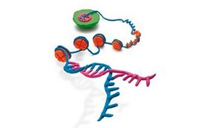 Epigenetics