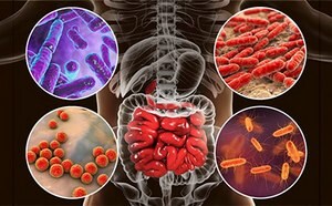 Microbiome