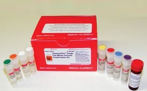 A red box labeled ‘AMPLIFICATION KIT’ next to several small bottles with different colored caps on a white surface in a laboratory setting. 