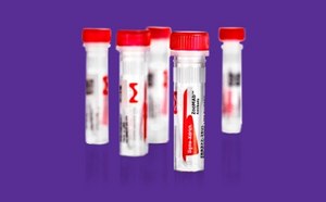 ZooMAb® Antibody Multipack
