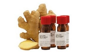 The image depicts a partially sliced ginger root next to three small brown medicine or essential oil bottles with red caps and white labels, against a plain white background.