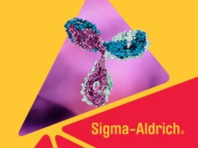 A close-up view of molecular structures resembling antibodies, depicted in vibrant colors against a soft pink and purple background. The Sigma-Aldrich logo is prominently displayed in the lower right corner.