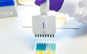 Egy kék nitrilkesztyűt viselő laboratóriumi dolgozó kinyitja a Supelco® márkajelzéssel ellátott nagy, barna oldószeres palackot. Csak a dolgozó keze és alsó karja látható. A háttérben egy kis barna oldószeres palack és két kis fehér palack látható.