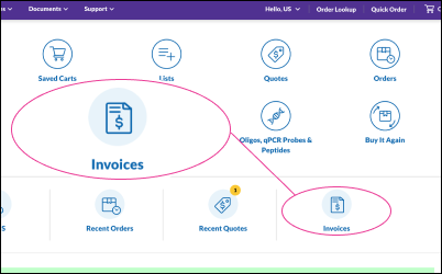 Access through the Invoices icon Showing the clickable invoice icons in RCHP where you can access your invoices