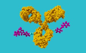 ADC 및 고효능 API를 위한 밀리포아(Millipore®) 제품 및 CTDMO 서비스