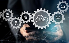 Supply Chain Robustness