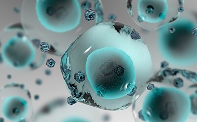 Cell Line Characterization 세포주 특성화