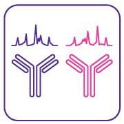 mAb interlot and biosimilar comparability 인터로트 및 바이오시밀러 비교 가능성 평가를 위한 단클론 항체(mAb) 기반 검사 제품군