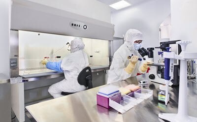 Cell Bank Manufacturing Cell Bank Manufacturing